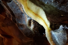 Cave Bacon
