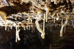 Helictites