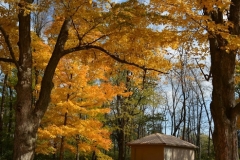 Historic Tour Entrance