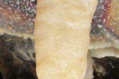 Stalactite