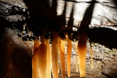 Stalactites