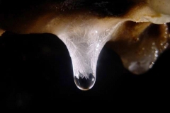 Stalactite
